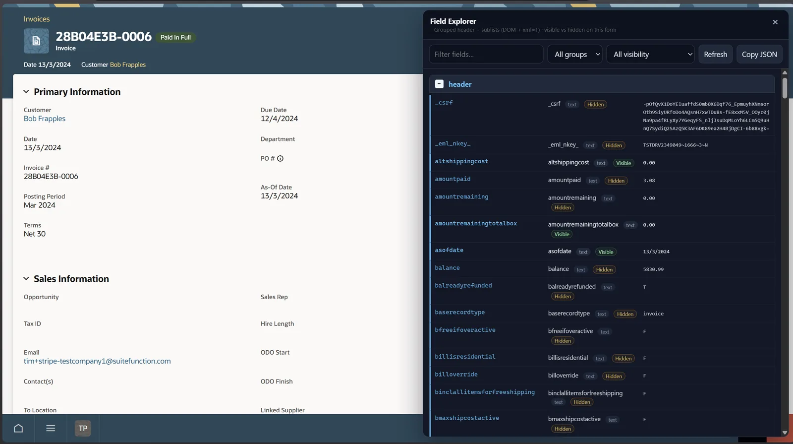 the extension running on a NetSuite page